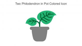 Two Philodendron In Pot Colored Icon In Powerpoint Pptx Png And Editable Eps Format