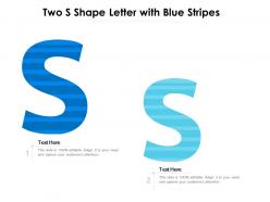 Two s shape letter with blue stripes