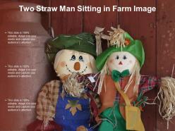Two straw man sitting in farm image