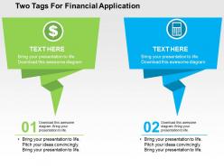 Two tags for financial application flat powerpoint design
