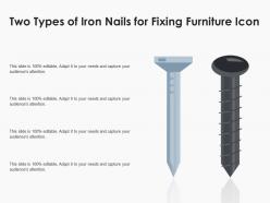 Two types of iron nails for fixing furniture icon