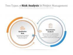 Two types of risk analysis in project management