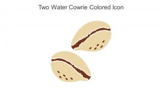 Two Water Cowrie Colored Icon In Powerpoint Pptx Png And Editable Eps Format