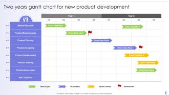 Two Years Gantt Chart For New Product Development