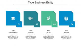Type Business Entity Ppt Powerpoint Presentation Outline Show Cpb