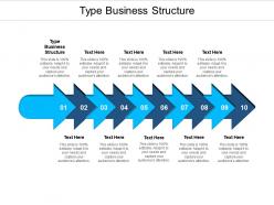 Type business structure ppt powerpoint presentation styles clipart images cpb