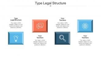 Type Legal Structure Ppt Powerpoint Presentation Styles Grid Cpb