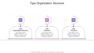 Type Organization Structure In Powerpoint And Google Slides Cpb