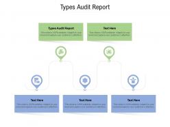 Types audit report ppt powerpoint presentation icon background designs cpb