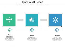 Types audit report ppt powerpoint presentation infographic template cpb