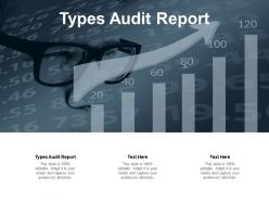 Types audit report ppt powerpoint presentation styles smartart cpb