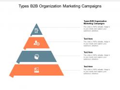 Types b2b organization marketing campaigns ppt powerpoint presentation portfolio good cpb
