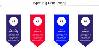 Types Big Data Testing Ppt Powerpoint Presentation Inspiration Slide Download Cpb