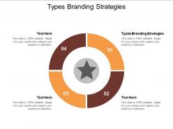 Types branding strategies ppt powerpoint presentation model visuals cpb