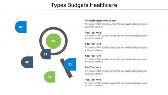 Types Budgets Healthcare Ppt Powerpoint Presentation Pictures Sample Cpb