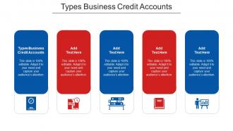 Types Business Credit Accounts Ppt Powerpoint Presentation Pictures Backgrounds Cpb