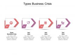 Types business crisis ppt powerpoint presentation model themes cpb