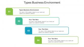 Types Business Environment Ppt Powerpoint Presentation Infographic Template Backgrounds Cpb