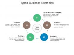 Types business examples ppt powerpoint presentation portfolio slide download cpb