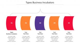 Types Business Incubators Ppt Powerpoint Presentation Portfolio Tips Cpb