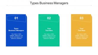 Types Business Managers Ppt Powerpoint Presentation File Graphics Cpb
