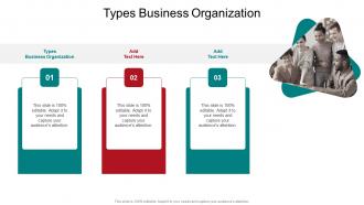 Types Business Organization In Powerpoint And Google Slides Cpb