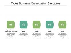 Types business organization structures ppt powerpoint presentation gallery graphics template cpb