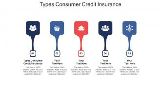 Types consumer credit insurance ppt powerpoint presentation styles display cpb