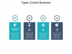 Types control business ppt powerpoint presentation icon design ideas cpb