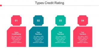 Types Credit Rating Ppt Powerpoint Presentation Professional Icon Cpb