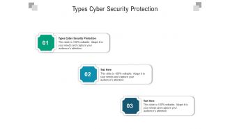 Types cyber security protection ppt powerpoint presentation portfolio show cpb