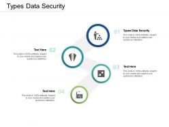 Types data security ppt powerpoint presentation summary styles cpb
