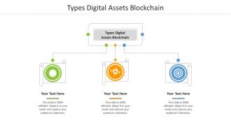 Types digital assets blockchain ppt powerpoint presentation styles tips cpb