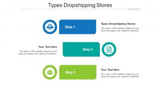 Types dropshipping stores ppt powerpoint presentation icon professional cpb
