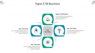 Types e m business ppt powerpoint presentation professional gallery cpb