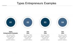 Types entrepreneurs examples ppt powerpoint presentation layouts outline cpb