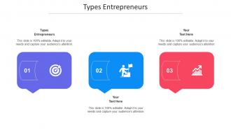 Types Entrepreneurs Ppt Powerpoint Presentation Slides Display Cpb
