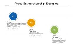 Types entrepreneurship examples ppt powerpoint presentation ideas objects cpb