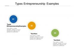 Types entrepreneurship examples ppt powerpoint presentation infographic template objects cpb