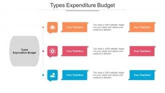 Types Expenditure Budget Ppt Powerpoint Presentation Portfolio Vector Cpb
