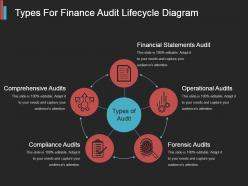 Types for finance audit lifecycle diagram ppt slide styles