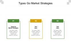 Types go market strategies ppt powerpoint presentation icon files cpb