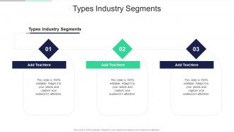 Types Industry Segments In Powerpoint And Google Slides Cpb