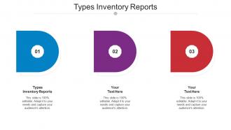 Types Inventory Reports Ppt Powerpoint Presentation Gallery Format Ideas Cpb