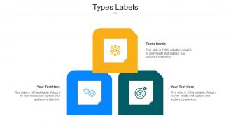 Types Labels Ppt Powerpoint Presentation Infographics Aids Cpb