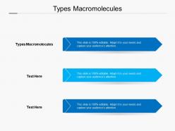 Types macromolecules ppt powerpoint presentation layouts mockup cpb
