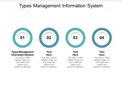 Types management information system ppt powerpoint presentation layouts rules cpb