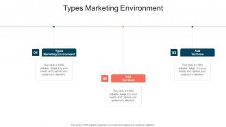 Types Marketing Environment In Powerpoint And Google Slides Cpb