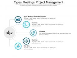 Types meetings project management ppt powerpoint presentation pictures themes cpb