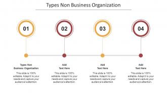 Types Non Business Organization In Powerpoint And Google Slides Cpb